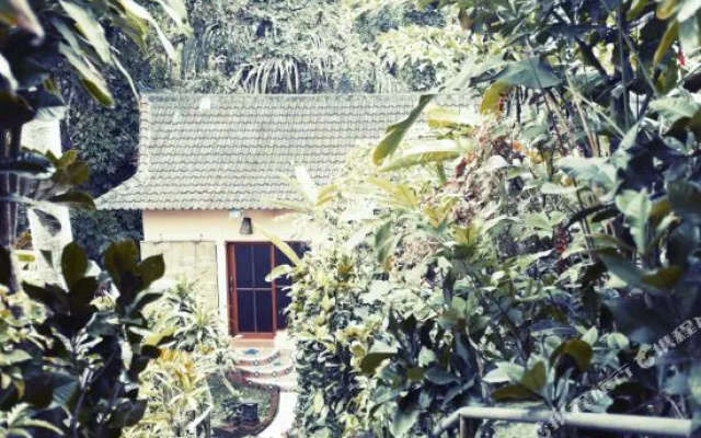Shankaris Bali Retreat