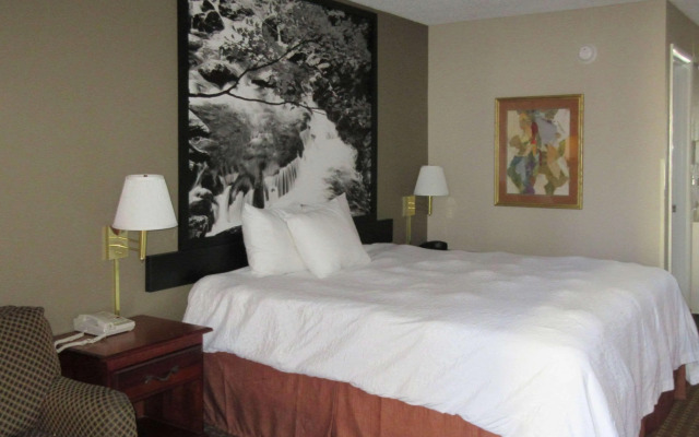 Econo Lodge Inn & Suites