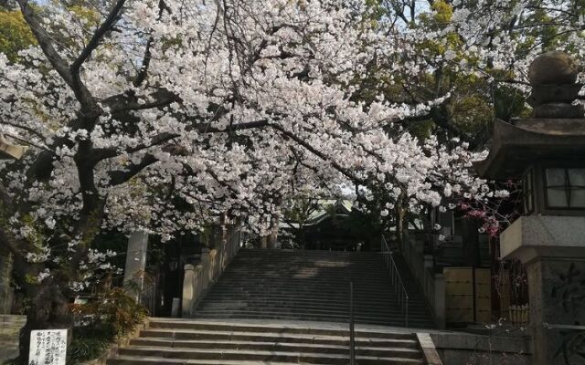 Osaka Stay JP