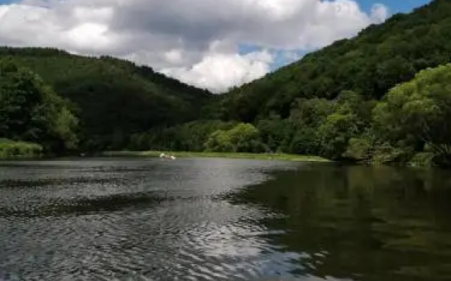 l'oiseau d'eau