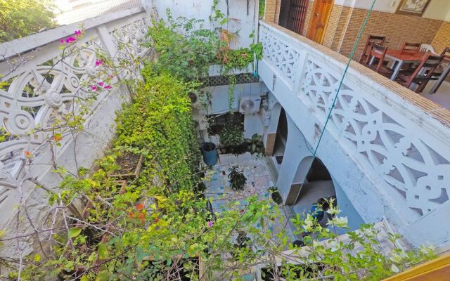 Marlin Hostel