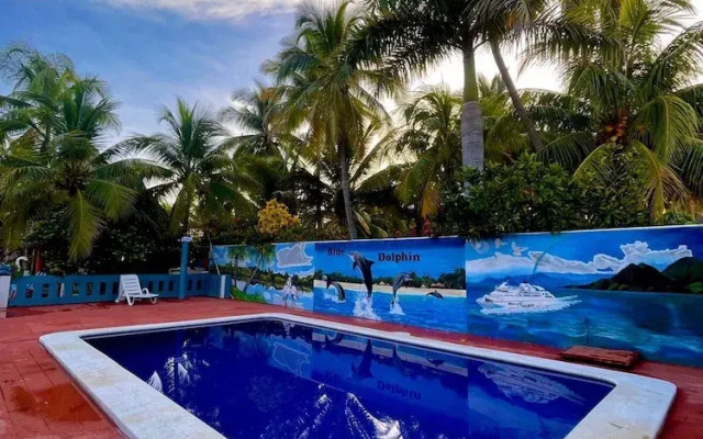 Blue Dolphin