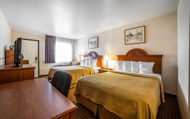 Spark by Hilton Sheridan