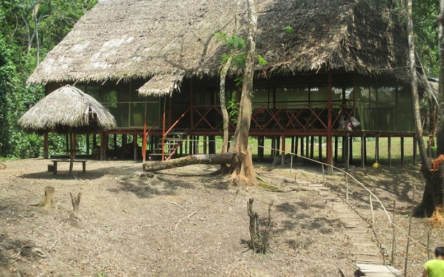 Jungle Explorer Lodge