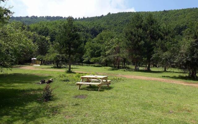Kirkahvesi Garden - Campsite
