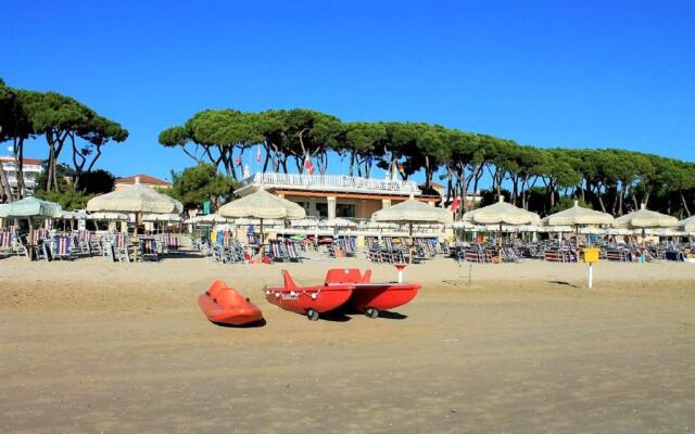 Ficus Pineto Vacanza