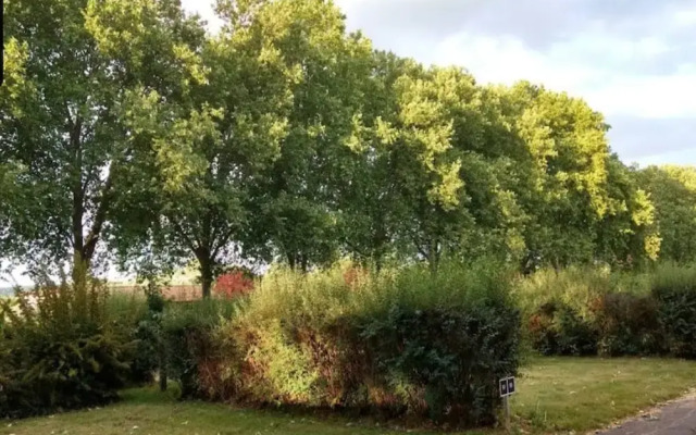 Apartment in Gorlitz With Historic Charm