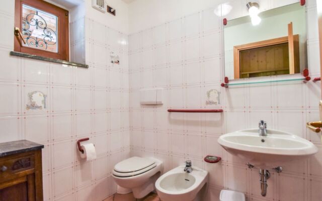 Cesa Galaldriel 29973