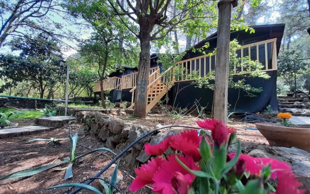 Altaris Bungalows Olympos