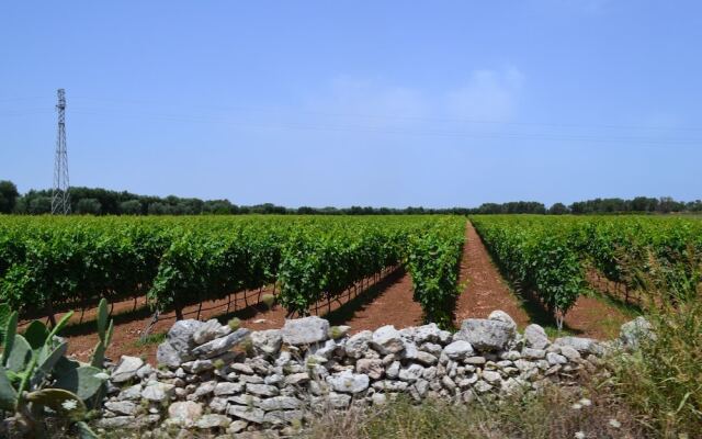 Salento Guesthouse B&B