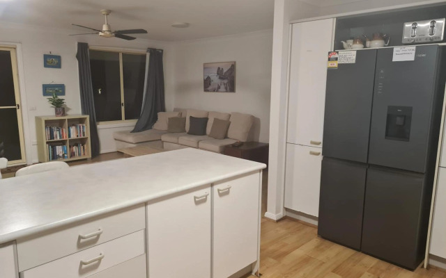 Harrys Haven Harrington