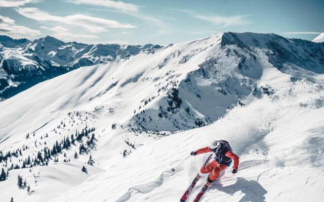 Holzboxen Planneralm