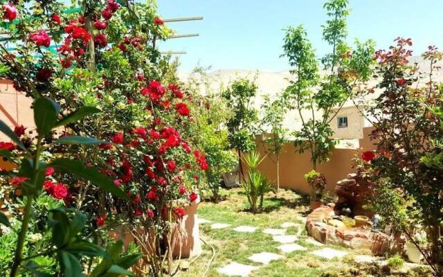 Why not bedouin house