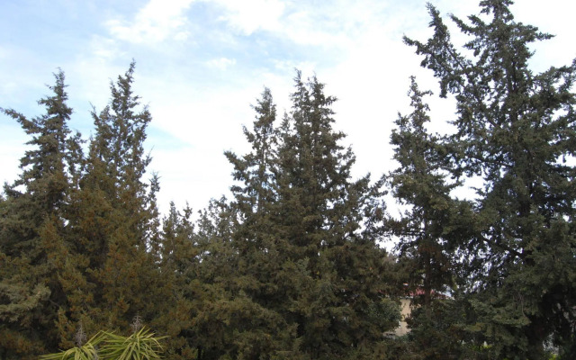 Mountain Vista Resort