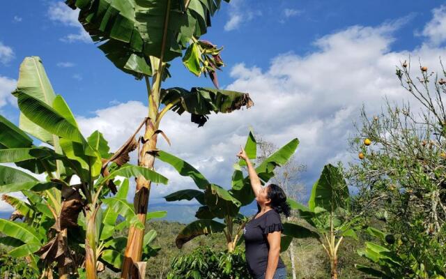 El Recreo Hogar Campesino
