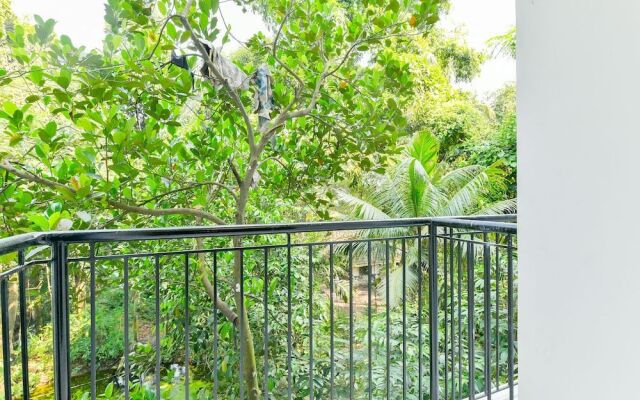 Collection O O 22718 Vm Qazr