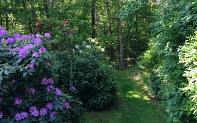 Natuurpark Hoefbos Boshuisje Veluwe