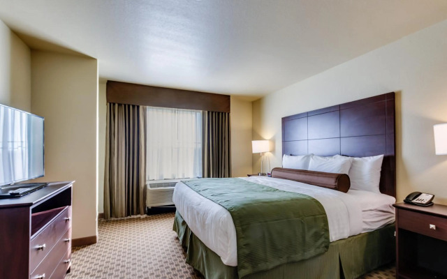 Cobblestone Inn & Suites - Waverly