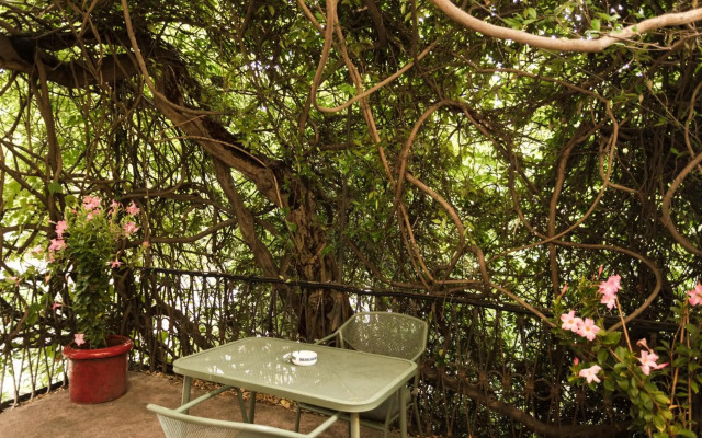 Albergo Ristorante Madonnina