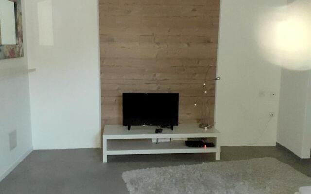 Apartment With One Bedroom In Schiltigheim With Wifi
