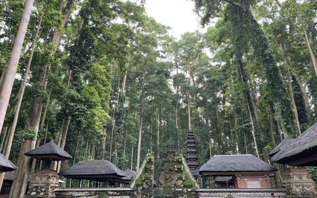 Angel House Ubud Eco Villa