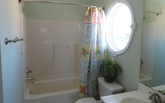 Dolphin Dance Both Units