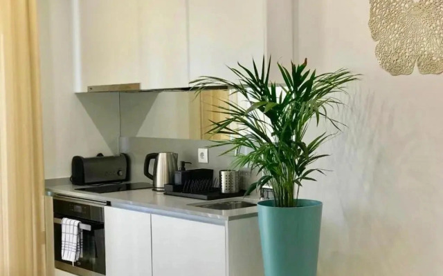 Braga Center Apartments Eça de Queirós