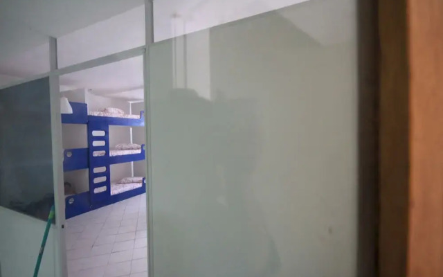 Gohouse - Visconde 206