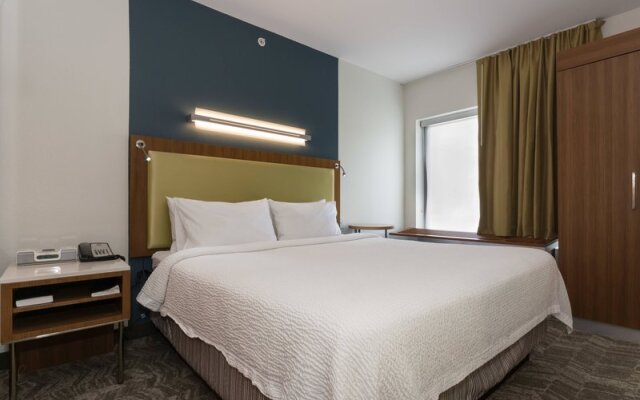 SpringHill Suites Charlotte Ballantyne