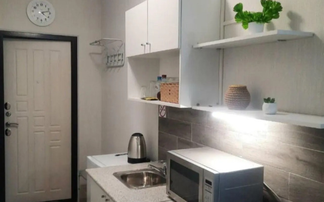 Апартаменты на улице 50 лет Октября (5/1)