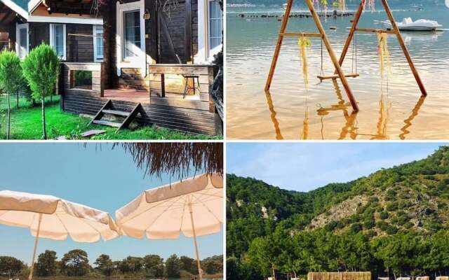 Green Pine Beach & Bungalows Luxury Concept