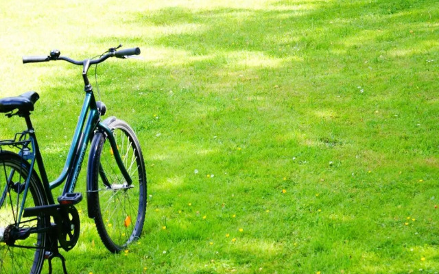 Hotel Reiterhof Bellevue Spa & Resort