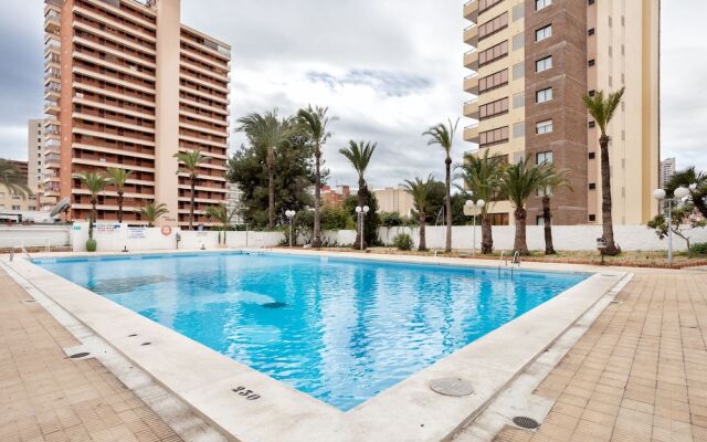 Beferent - Bermudas Benidorm