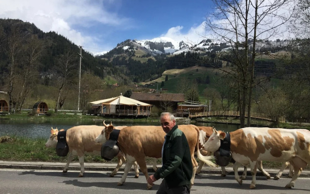 Forellensee Gstaad-Zweisimmen