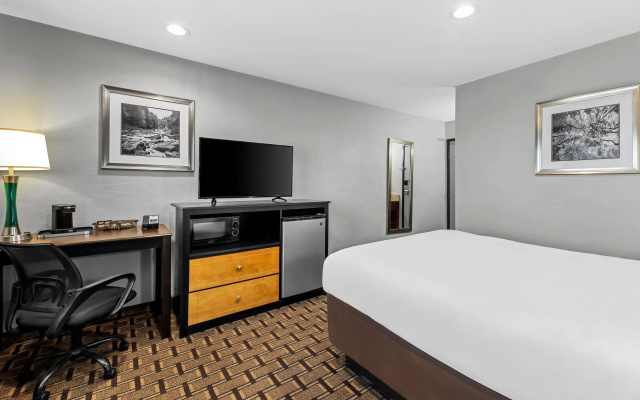 Quality Inn - Denton
