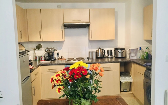 Modern Apartment Near the Thames, Central London