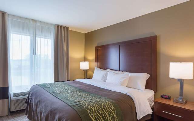 Comfort Inn & Suites Zachary