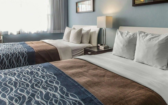 Comfort Inn & Suites Levittown