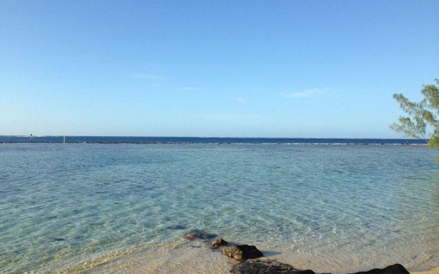 Tamanu