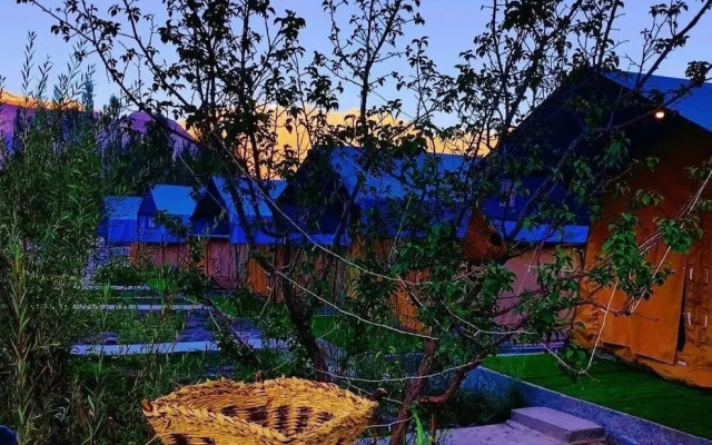 The Grand Ghazi Clover Camp