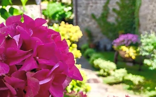 Agriturismo Biologico Castello Della Pieve