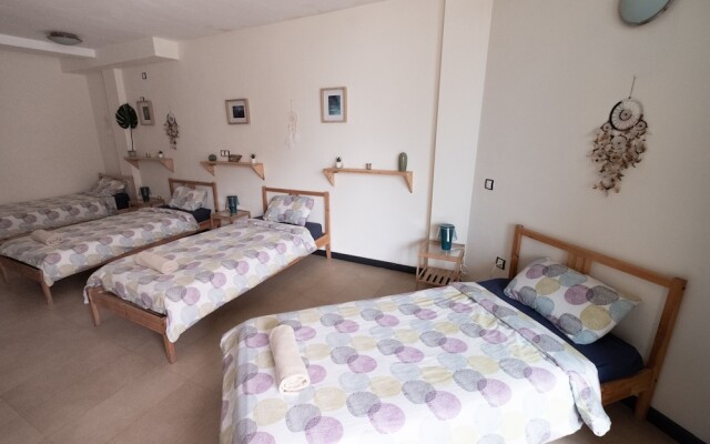 Star Surf Camps Fuerteventura