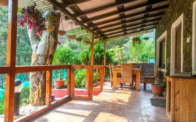 The Hammock