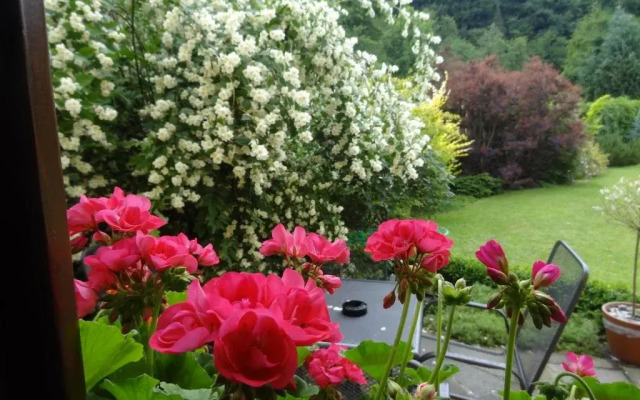 Penzion Podhorní Mlýn