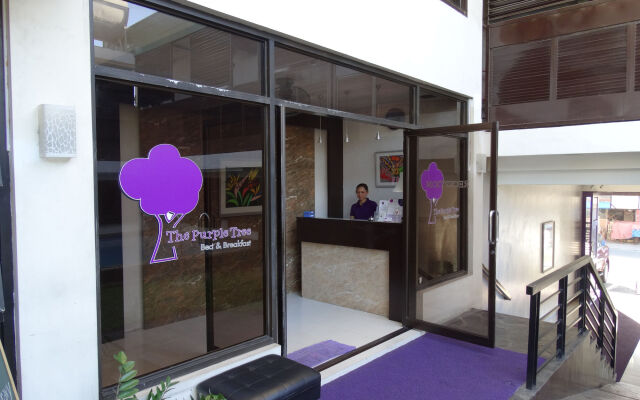 The Purple Tree Bed & Breakfast