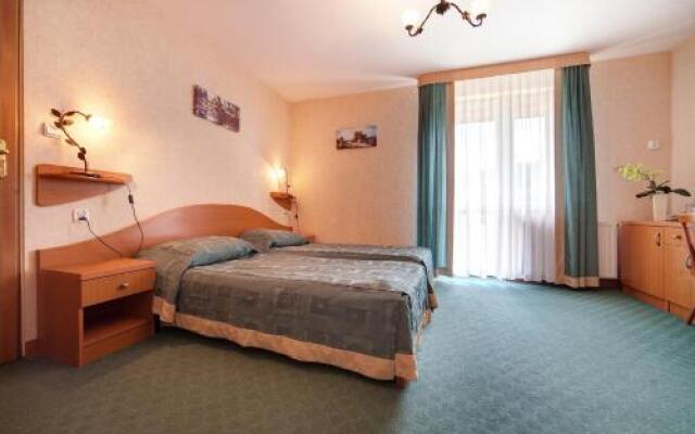 Hotel Henryk