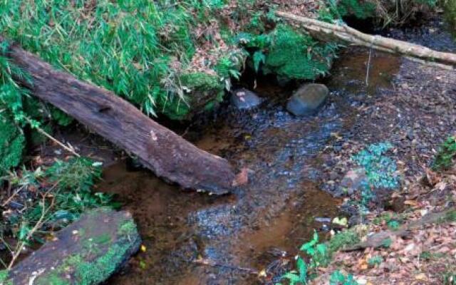 Licanray Cabaña 10 personas Condominio