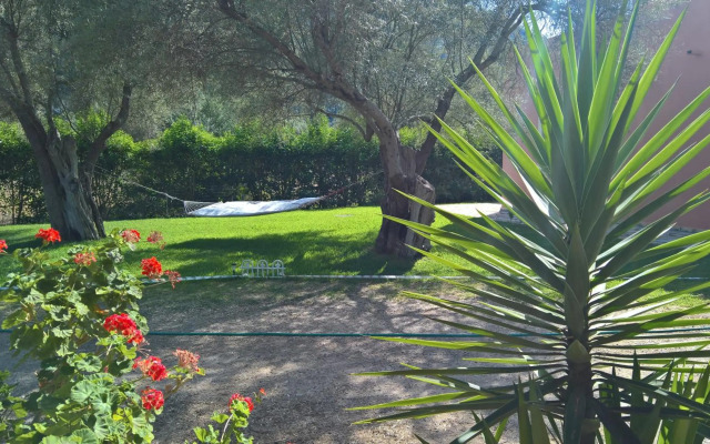 Ionian Breeze Studios