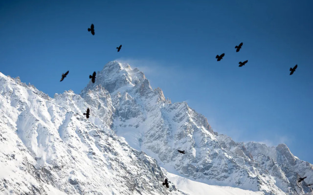 Appartement Melée Demi Ligne