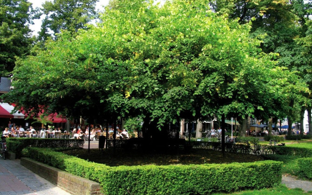 Furnished Chalet Located near Oisterwijkse Vennen